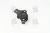 Опора кульова нижня двостороння SEAT, VW (Lemferder) LEMFORDER 31335 01 (фото 1)