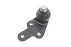 Опора кульова (передня/знизу/R) Ford Kuga I 2.0TDCi/2.5 08- LEMFORDER 37886 01 (фото 2)