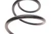 Пружина (передняя) BMW 7 (E65/E66/E67) 730d/735i, Li/745i, Li 01-08 (седан) LESJOFORS 4008468 (фото 3)