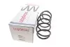 Пружина (передняя) Opel Astra H 1.7CDTI/1.6-2.0 Turbo 04-10/09- (седан/унив/накл.ч)(без спорт.ход) LESJOFORS 4063479 (фото 1)