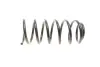 Пружина (передняя) Seat Ibiza 1.9TDI/SDI 96-02 (хэтч)/VW Caddy 1.7SDI/1.9D/SDI/TDI 95-04 (фург/вэн) LESJOFORS 4082911 (фото 3)