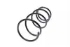 Пружина (передняя) Toyota Rav4 II 2.0D 4WD 01-05 (SUV) LESJOFORS 4092591 (фото 5)