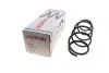 Пружина (передняя) VW Polo 1.4TDI 01-09 (основ. BlueMotion)/Fox 1.2/1.4 05-11 (нах. зад. часть) LESJOFORS 4095087 (фото 1)