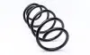 Пружина (передня) VW Polo 1.6 (+AC)/1.0TSI АКПП/1.2TDI/TSI 09-/Skoda Fabia III 1.0-1.2TSI АКПП 14- LESJOFORS 4095103 (фото 3)
