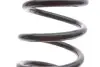 Пружина (задняя) BMW 5 (E39) 520d/i/523i/525d/i/td/tds/528i/530d/i/535i/540 95-03 (седан)(без М-тех) LESJOFORS 4208425 (фото 2)