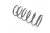Пружина (задня) Land Rover Freelander 1.8i 16V/2.0DI/Td4/2.5 V6 4x4 98-06 (всюдихід закритий) LESJOFORS 4275726 (фото 3)
