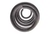 Пружина (задняя) Toyota Rav 4 III 2.0 4WD/2.2 D 4WD 05-13 (SUV) LESJOFORS 4292624 (фото 4)