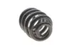Пружина (задня) VW T5/T6/Multivan V/VI 1.9-2.0TDI/2.5TDI/3.2 V6 03- (з пост.діам.) (HD.для відд.мод) LESJOFORS 4295060 (фото 7)