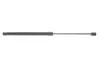 Амортизатор кришки багажника MB B-class (W245) 05-11 (R) (хетчбек) LESJOFORS 8156812 (фото 1)