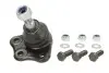 Опора шаровая (передняя) Fiat Doblo 01-(под уклоном) (SSP1194) MAGNETI MARELLI 301181311940 (фото 1)