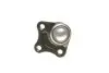 Опора кульова (передня/знизу/R) Audi A3/VW Golf IV 1.4-2.8 96-06 (к-кт) MAGNETI MARELLI 301191617760 (фото 2)