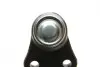 Опора кульова (передня/знизу) Ford C-Max 07-10/Focus 04-12/Volvo C30/C70/S40/V50 04-13 (SSP1836) MAGNETI MARELLI 301191618360 (фото 2)