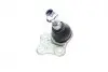 Опора шаровая (передняя/снизу) Renault Megane III/Scenic III 08-/Fluence 10- (SSP1956) MAGNETI MARELLI 301191619560 (фото 2)