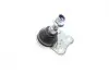 Опора шаровая (передняя/снизу) Renault Megane III/Scenic III 08-/Fluence 10- (SSP1956) MAGNETI MARELLI 301191619560 (фото 5)