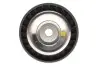 Ролик генератора BMW X5 (E70) 3.0D 07-13 (паразитный) (80x26) (MPQ1256) MAGNETI MARELLI 331316171256 (фото 1)