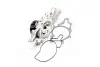 Насос воды MB C-class (W202/S202/W203/S203)/E-class (W210/S210) 2.2/2.7CDI 97-09 (WPQ0674) MAGNETI MARELLI 352316170674 (фото 2)
