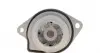 Насос воды Skoda Fabia/Octavia/Seat Ibiza/Cordoba/VW Caddy/Golf/Polo 1.4/1.4 16V 00- (WPQ1175) MAGNETI MARELLI 352316171175 (фото 4)
