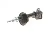 Амортизатор задний Land Rover Freelander 98-06 (L) MAGNETI MARELLI 357106070200 (фото 1)