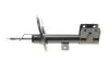 Амортизатор (передний) Citroen Berlingo/Peugeot Partner 08-(R) (7117GR) MAGNETI MARELLI 357117070100 (фото 7)