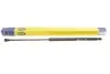 Амортизатор кришки багажника Fiat Panda 03- MAGNETI MARELLI 430719010000 (фото 2)