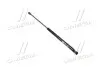 Амортизатор багажника VOLKSWAGEN Bora (кор.код. GS0131) MAGNETI MARELLI 430719013100 (фото 1)