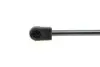 Амортизатор кришки багажника Opel Astra G 98-05 (хетчбек) MAGNETI MARELLI 430719016500 (фото 3)