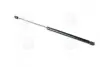 Амортизатор багажника MITSUBISHI (кор.код. GS0349) MAGNETI MARELLI 430719034900 (фото 1)