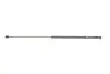 Амортизатор капота VW Golf VI 08-13 MAGNETI MARELLI 430719067300 (фото 1)