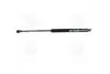 Амортизатор багажника MAGNETI MARELLI 430719097300 (фото 1)