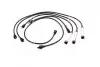 Комплект дротів запалювання (кор.код. MSK677) MAGNETI MARELLI 941125250677 (фото 1)