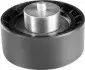 Ролик модуля натяжителя. MAGNETI MARELLI MPQ0131 (фото 1)