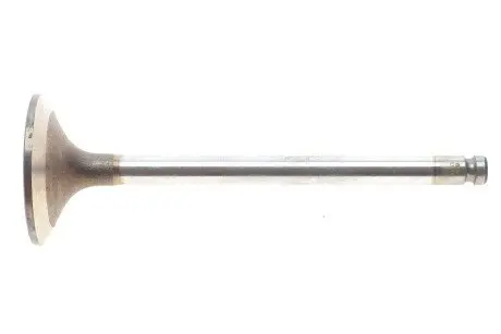 Клапан (впуск) Fiat Ducato 2.5-2.8JTD -06 (41x8x120.8) MAHLE / KNECHT 007 VE 30720 000