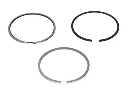 Кільця поршневі Fiat Doblo/ Opel Combo 1.3 JTD 04- (69.60mm/STD) (2-1.5-2) MAHLE / KNECHT 01004N0