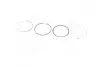 Кільця поршневі FORD 81,80 1,6 86-92 (Mahle) MAHLE / KNECHT 013 58 N1 (фото 1)