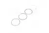 Кільця поршневі FORD 81,80 1,6 86-92 (Mahle) MAHLE / KNECHT 013 58 N1 (фото 2)