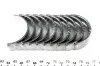 Вкладыши коренные VW T5/T6 1.9/2.0TDI 03-(STD) MAHLE / KNECHT 029 HS 19911 000 (фото 2)