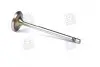 Клапан впуск. Caddy III 1.4 и 04- MAHLE / KNECHT 029 VE 30528 000 (фото 1)