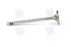 Клапан впуск. Caddy III 1.4 и 04- MAHLE / KNECHT 029 VE 30528 000 (фото 3)