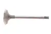 Клапан (впуск) VW Caddy II/T4 1.9D 92-04 (36x7x95.5) MAHLE / KNECHT 029 VE 30900 000 (фото 1)
