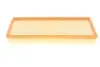 Фильтр воздушный Audi Q7/VW Touareg/Land Rover Range Rover III 04-12 MAHLE / KNECHT LX 792 (фото 4)