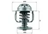 Термостат MAHLE / KNECHT TX 110 82 D (фото 1)