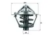 Термостат MAHLE / KNECHT TX 113 88 D (фото 1)