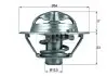 Термостат MAHLE / KNECHT TX 118 82 D (фото 1)
