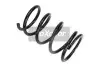 Пружина задней подвески Toyota RAV 4 II (ACA21/ACA20) 00-05 MAXGEAR 60-0356 (фото 1)