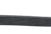 Пас двигуна привідний MERCEDES-BENZ 002993429664 (фото 3)