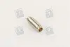 Направляюча клапана IN/EX RENAULT F3P/F3R/F8Q Metelli 01-2582 (фото 1)