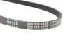 Ремень генератора Honda Civic VI/Nissan Primera/Citroen Berlingo 1.4-1.6 16V 94-05 (4PK800) MEYLE 050 004 0800 (фото 4)