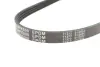 Ремень генератора Honda Civic VI/Nissan Primera/Citroen Berlingo 1.4-1.6 16V 94-05 (4PK800) MEYLE 050 004 0800 (фото 5)