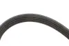 Ремінь генератора Citroen Berlingo/Peugeot Partner 1.1/1.4/1.6 96- (4PK855) MEYLE 050 004 0855 (фото 2)