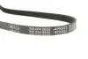 Ремінь генератора Citroen Berlingo/Peugeot Partner 1.1/1.4/1.6 96- (4PK855) MEYLE 050 004 0855 (фото 3)